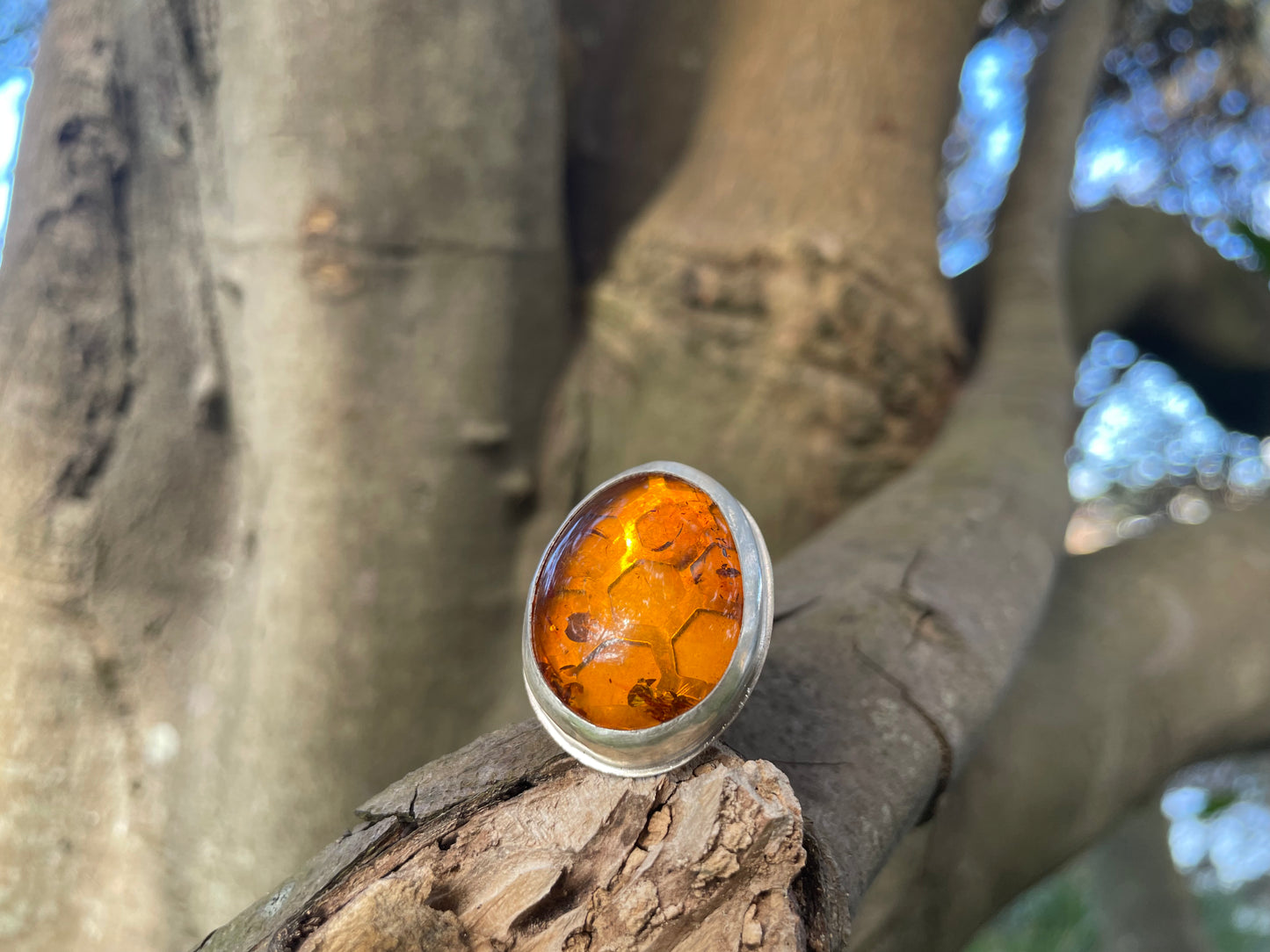 ~BALTIC AMBER BEE HIVE RING~