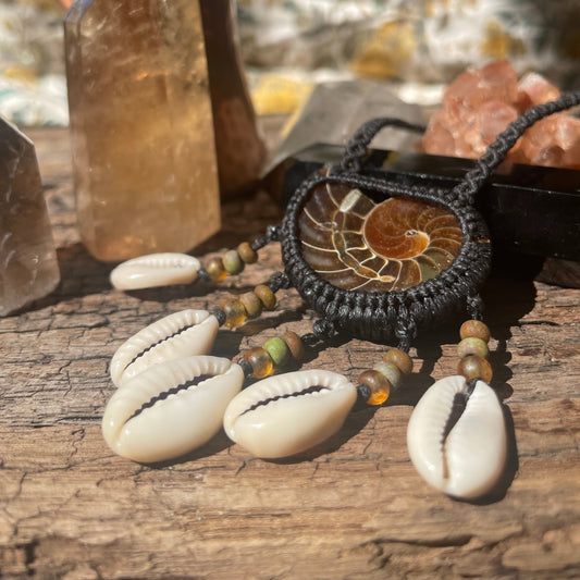 ~AMMONITE+COWRIE SHELL NECKLACE~