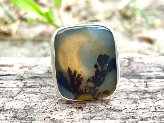 ~DENDRITIC AGATE~