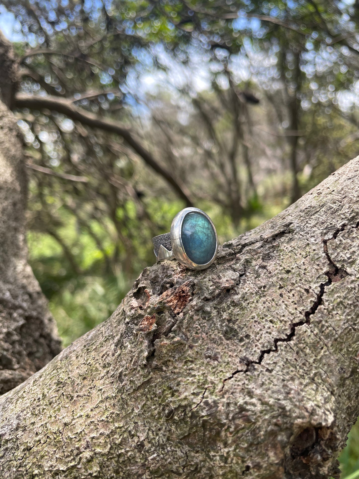 ~NIGHT MOUNTAIN~ Blue Labradorite (Size8.5, Q1/2)