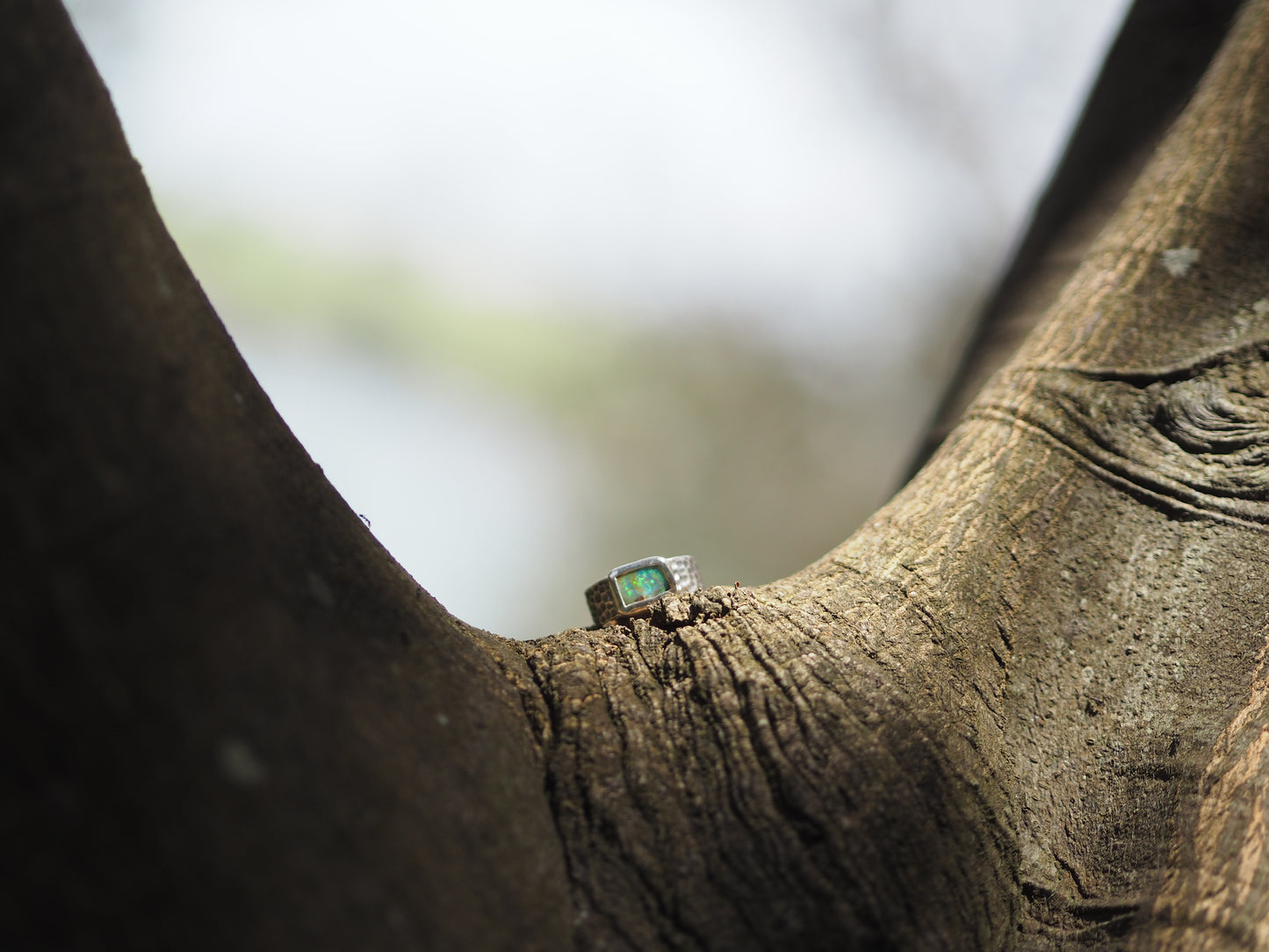 ~HAMMERED RING~ Blue Green Boulder opal (Size7.5, O1/2)