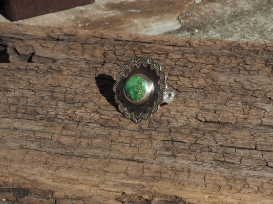 ~SONORAN TURQUOISE FIDGET RING~